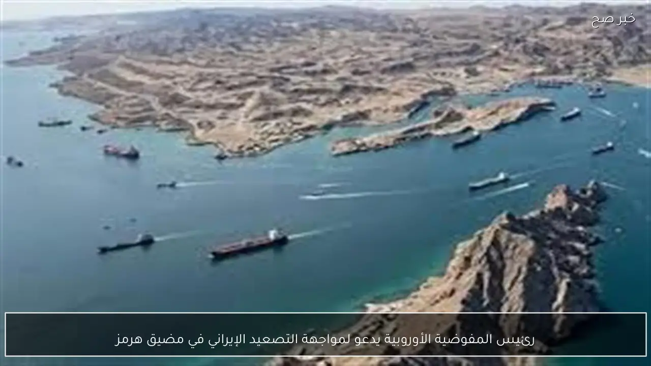 رئيس المفوضية الأوروبية يدعو لمواجهة التصعيد الإيراني في مضيق هرمز