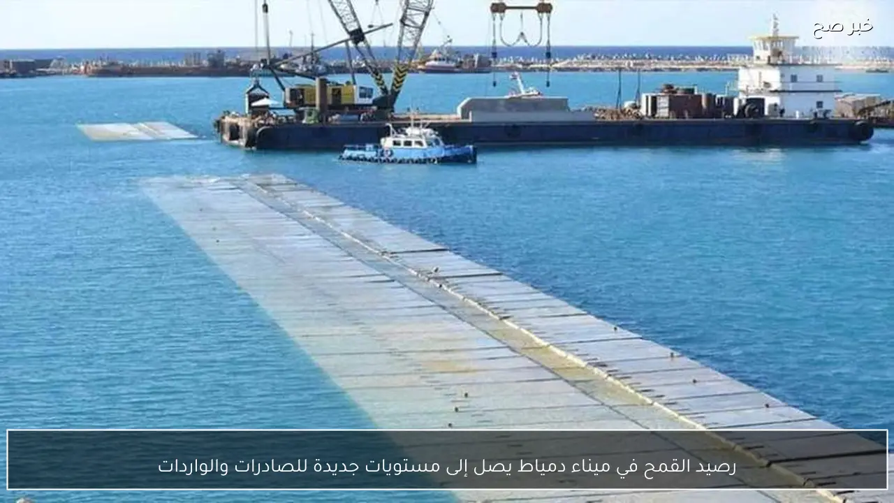 رصيد القمح في ميناء دمياط يصل إلى مستويات جديدة للصادرات والواردات