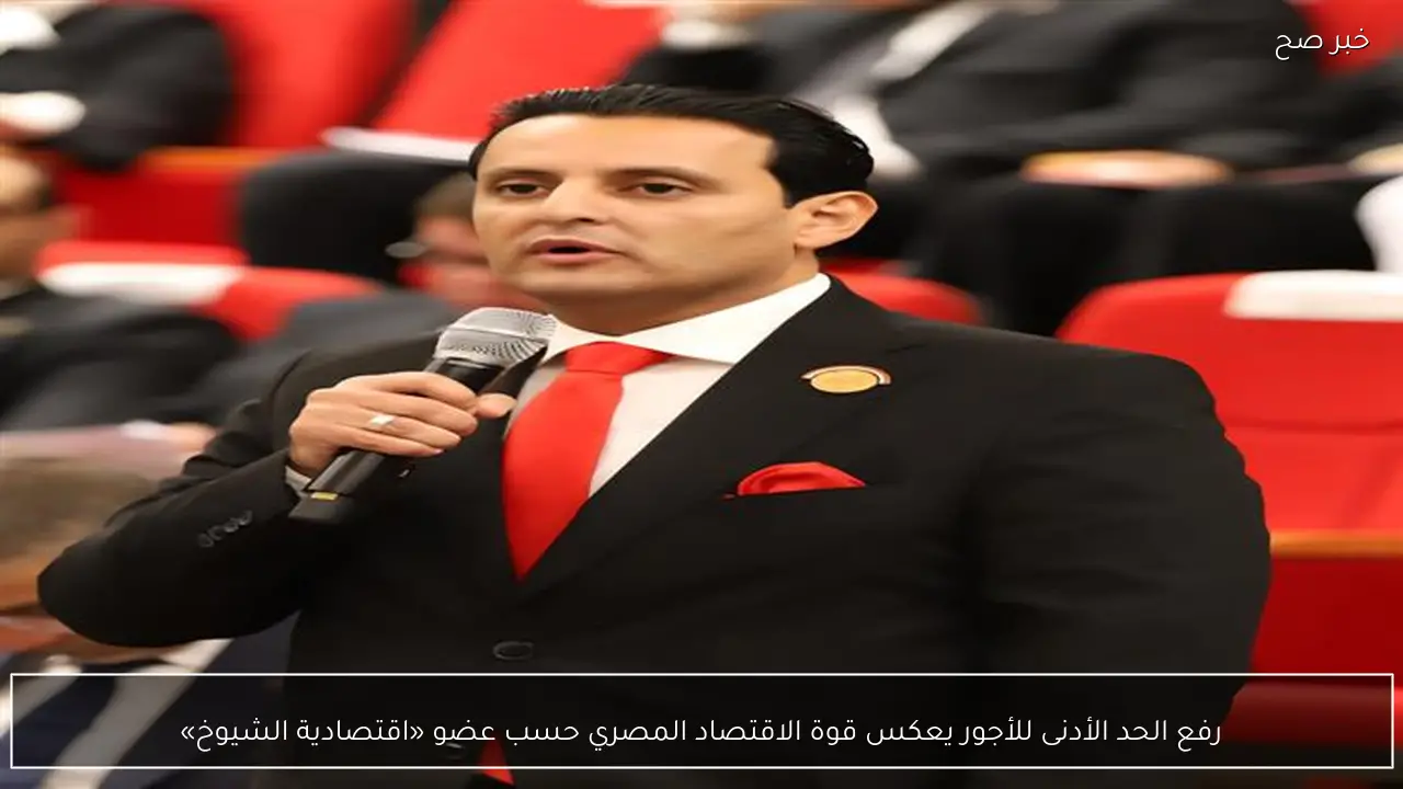 رفع الحد الأدنى للأجور يعكس قوة الاقتصاد المصري حسب عضو «اقتصادية الشيوخ»