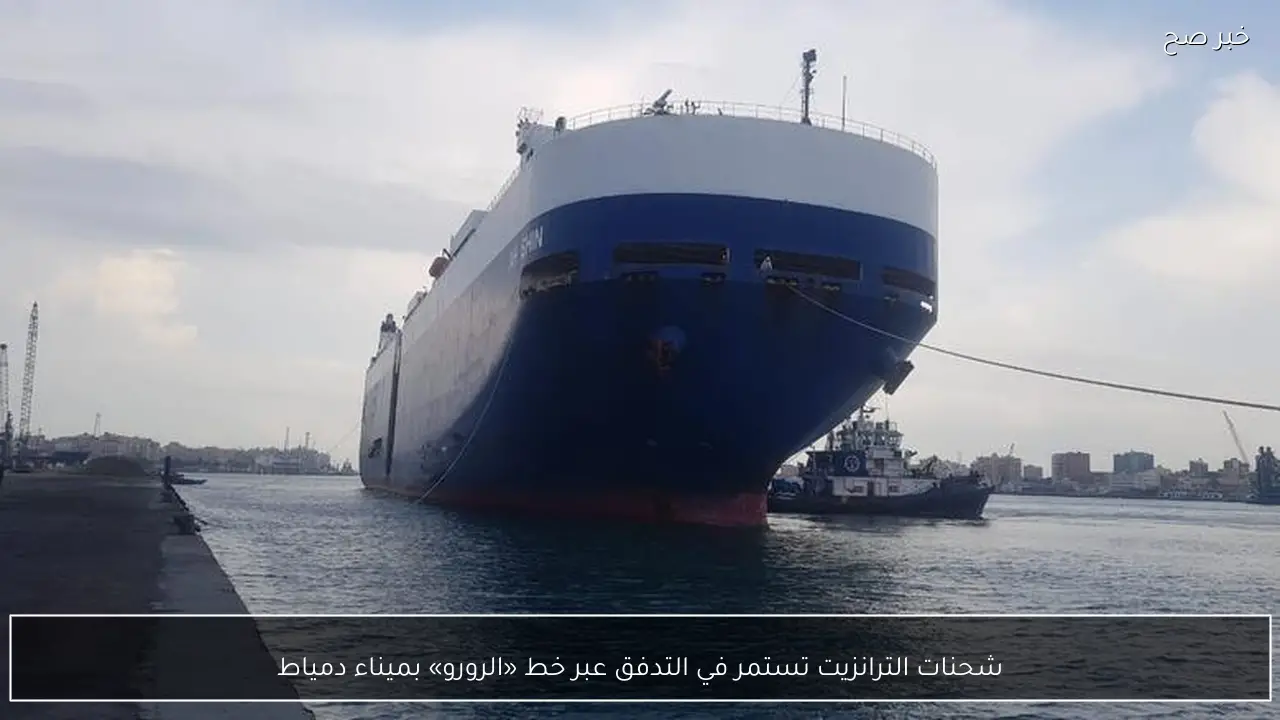 شحنات الترانزيت تستمر في التدفق عبر خط «الرورو» بميناء دمياط