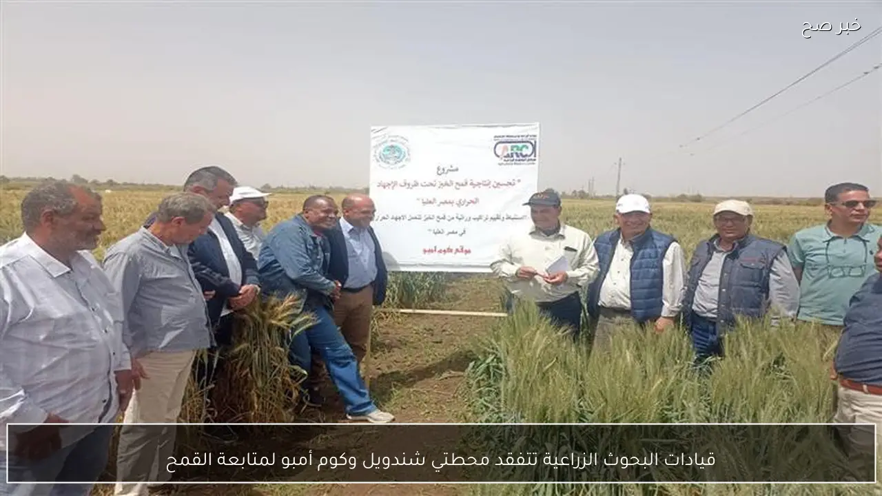 قيادات البحوث الزراعية تتفقد محطتي شندويل وكوم أمبو لمتابعة القمح