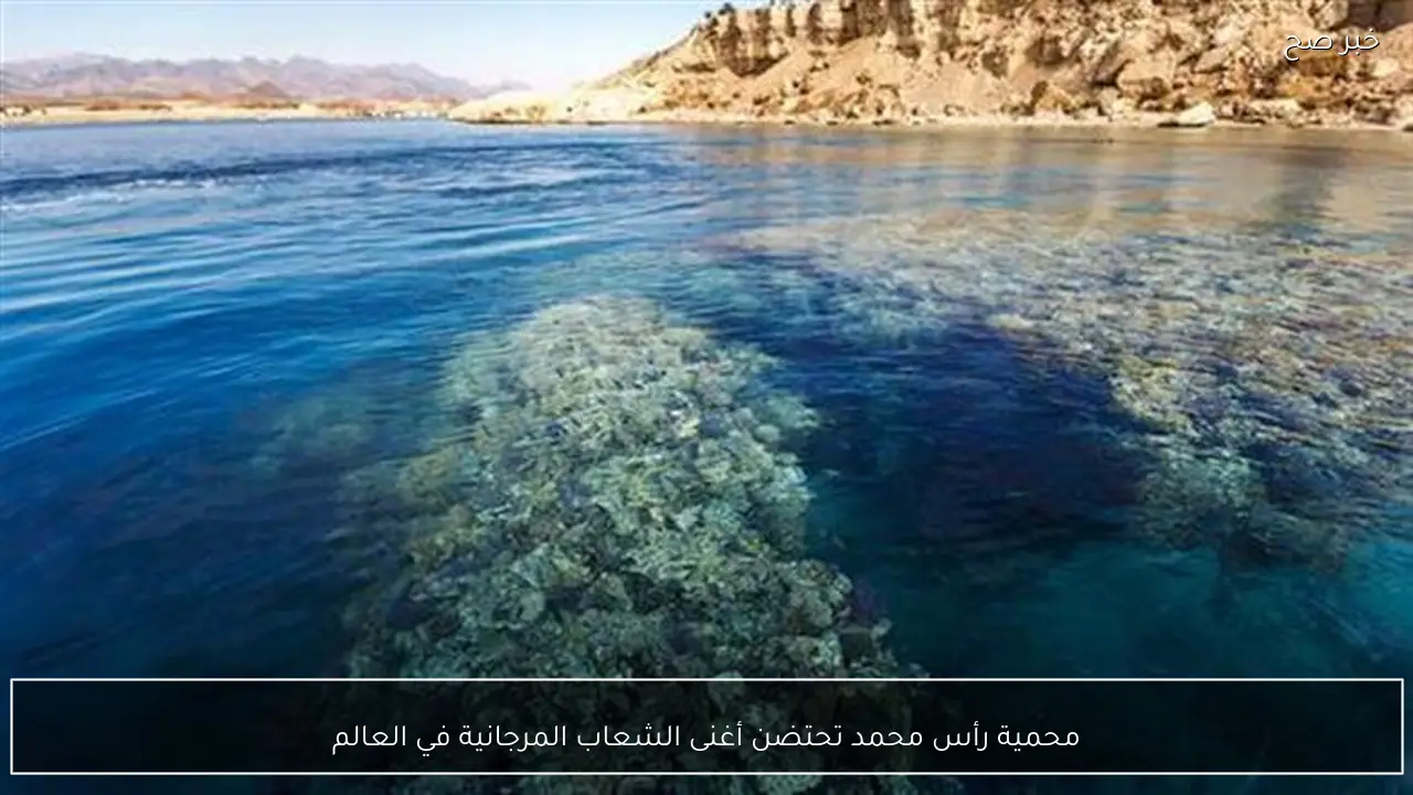 محمية رأس محمد تحتضن أغنى الشعاب المرجانية في العالم