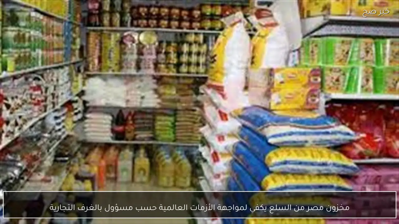 مخزون مصر من السلع يكفي لمواجهة الأزمات العالمية حسب مسؤول بالغرف التجارية