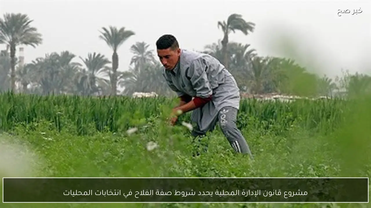 مشروع قانون الإدارة المحلية يحدد شروط صفة الفلاح في انتخابات المحليات