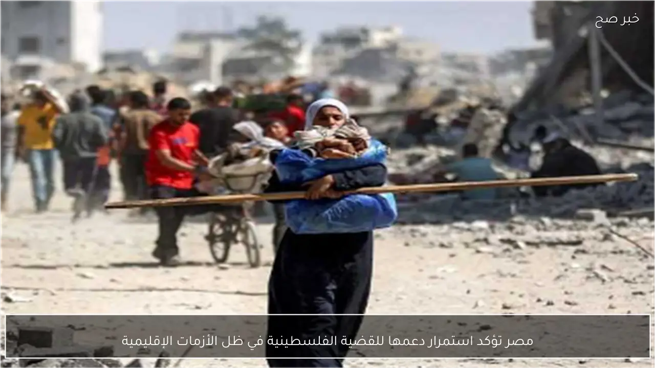 مصر تؤكد استمرار دعمها للقضية الفلسطينية في ظل الأزمات الإقليمية