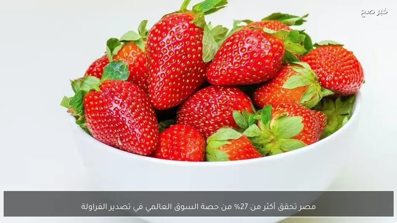 مصر تحقق أكثر من 27% من حصة السوق العالمي في تصدير الفراولة