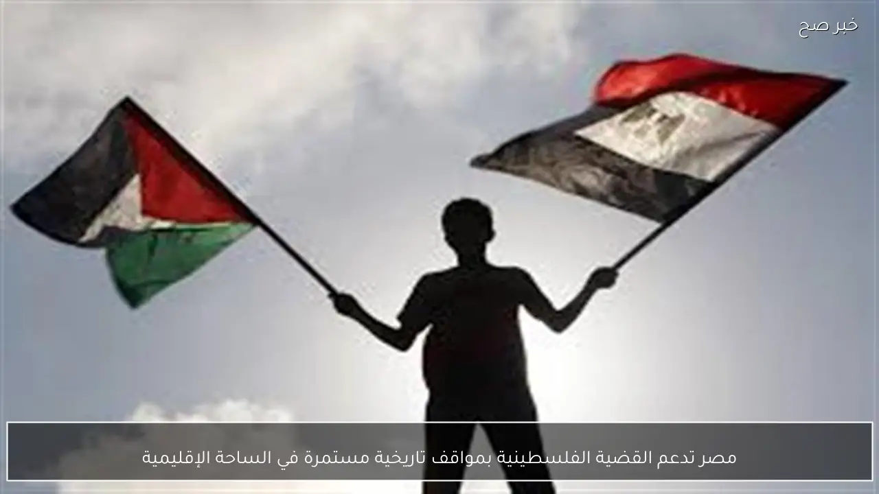 مصر تدعم القضية الفلسطينية بمواقف تاريخية مستمرة في الساحة الإقليمية