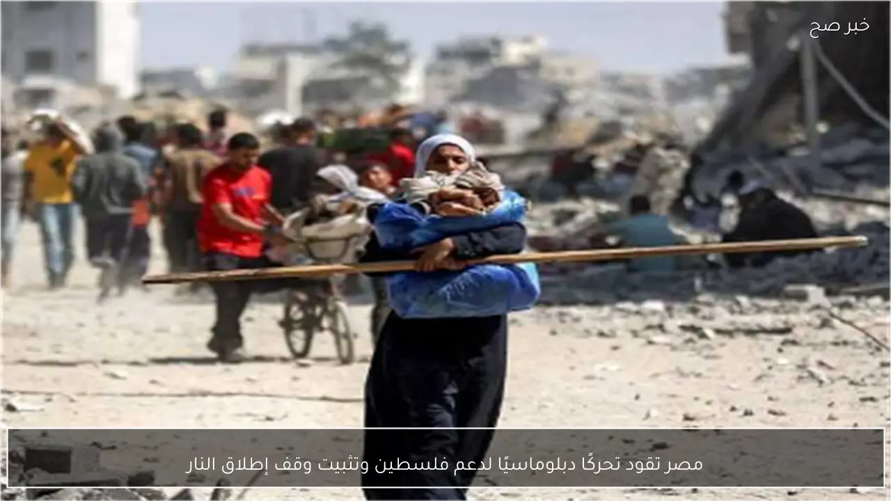 مصر تقود تحركًا دبلوماسيًا لدعم فلسطين وتثبيت وقف إطلاق النار