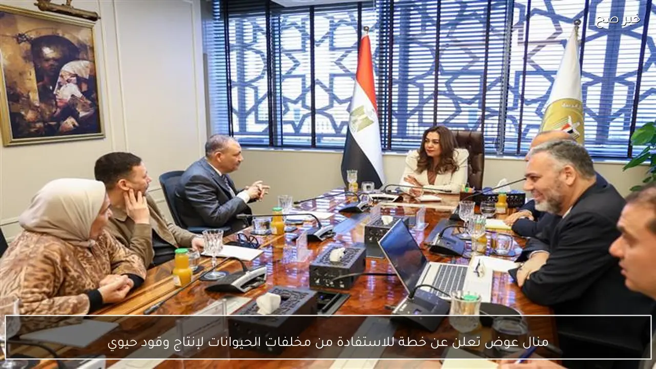 منال عوض تعلن عن خطة للاستفادة من مخلفات الحيوانات لإنتاج وقود حيوي