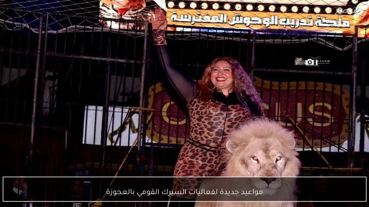 مواعيد جديدة لفعاليات السيرك القومي بالعجوزة