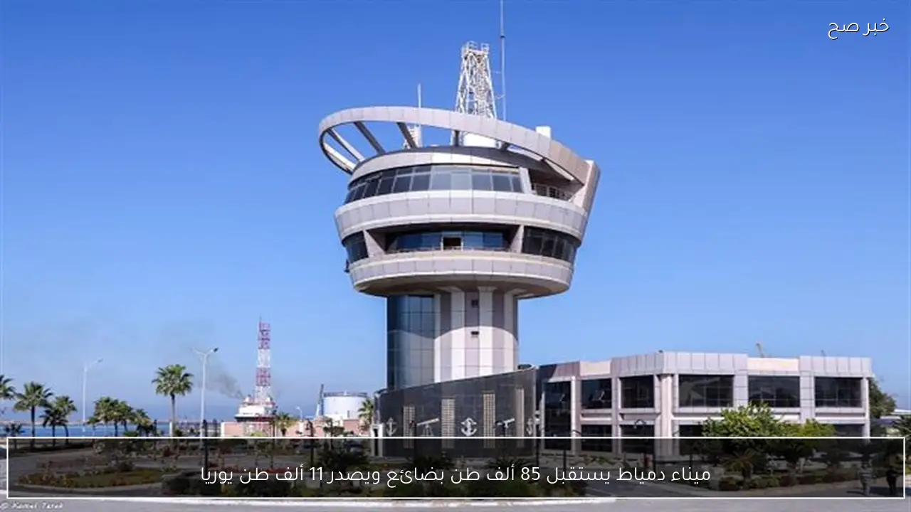 ميناء دمياط يستقبل 85 ألف طن بضائع ويصدر 11 ألف طن يوريا