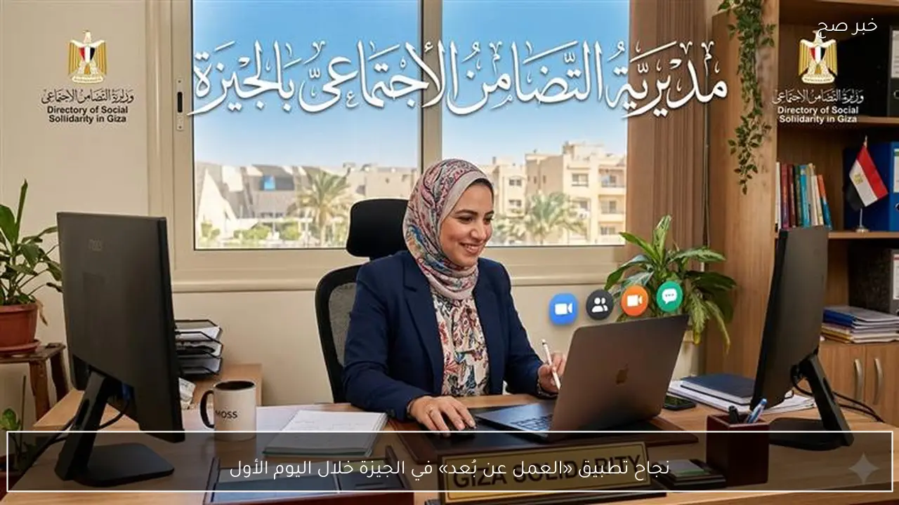 نجاح تطبيق «العمل عن بُعد» في الجيزة خلال اليوم الأول
