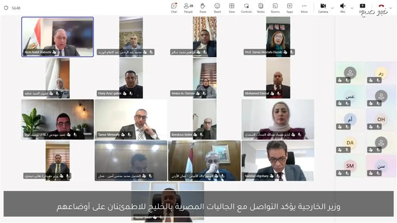 وزير الخارجية يؤكد التواصل مع الجاليات المصرية بالخليج للاطمئنان على أوضاعهم