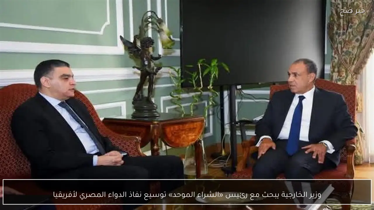 وزير الخارجية يبحث مع رئيس «الشراء الموحد» توسيع نفاذ الدواء المصري لأفريقيا