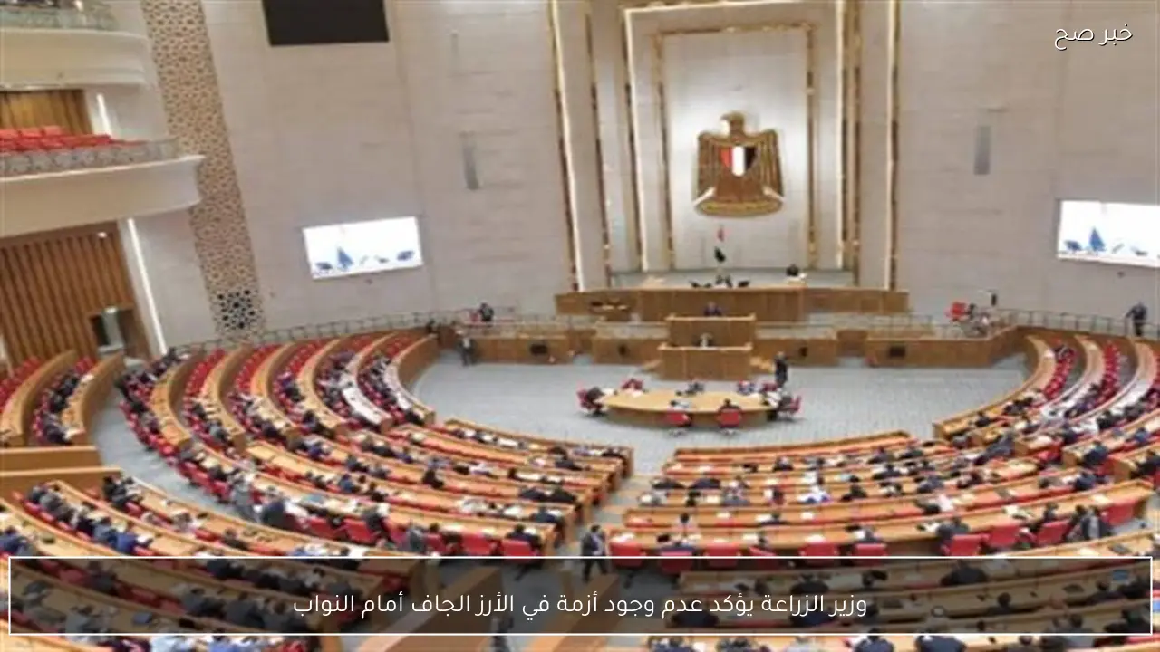 وزير الزراعة يؤكد عدم وجود أزمة في الأرز الجاف أمام النواب