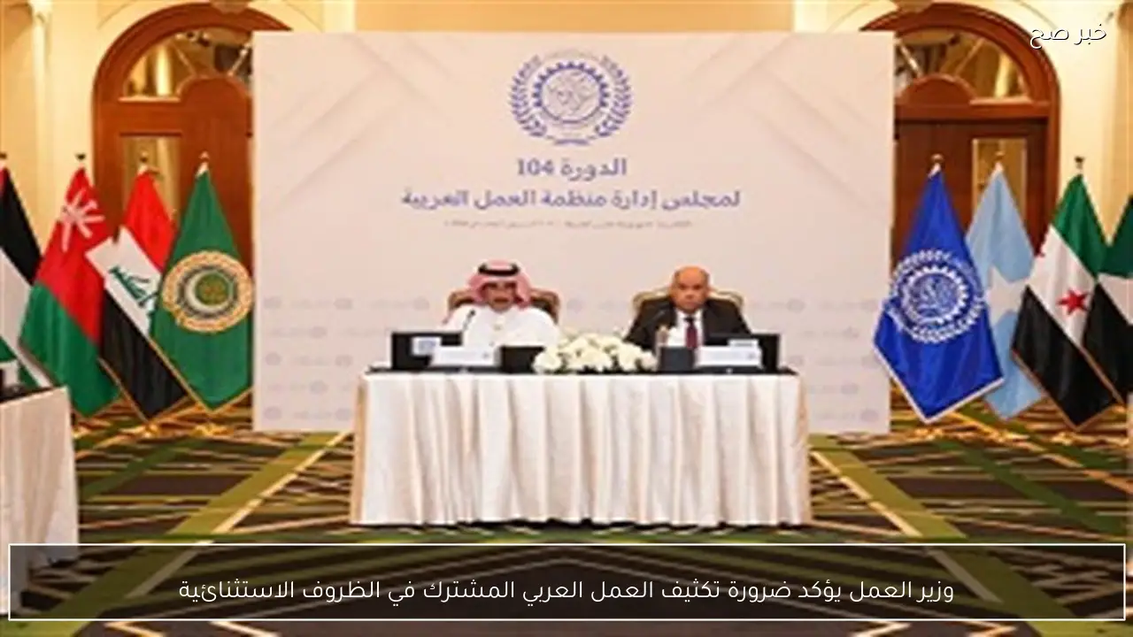 وزير العمل يؤكد ضرورة تكثيف العمل العربي المشترك في الظروف الاستثنائية