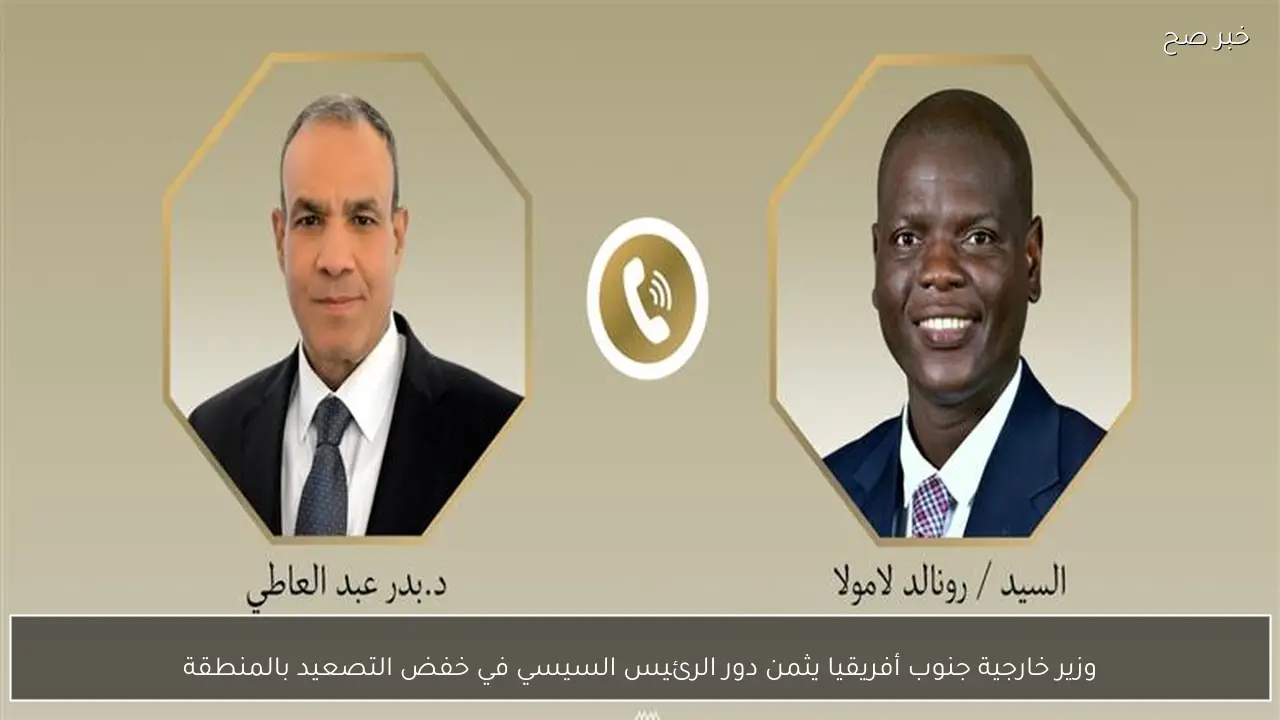 وزير خارجية جنوب أفريقيا يثمن دور الرئيس السيسي في خفض التصعيد بالمنطقة