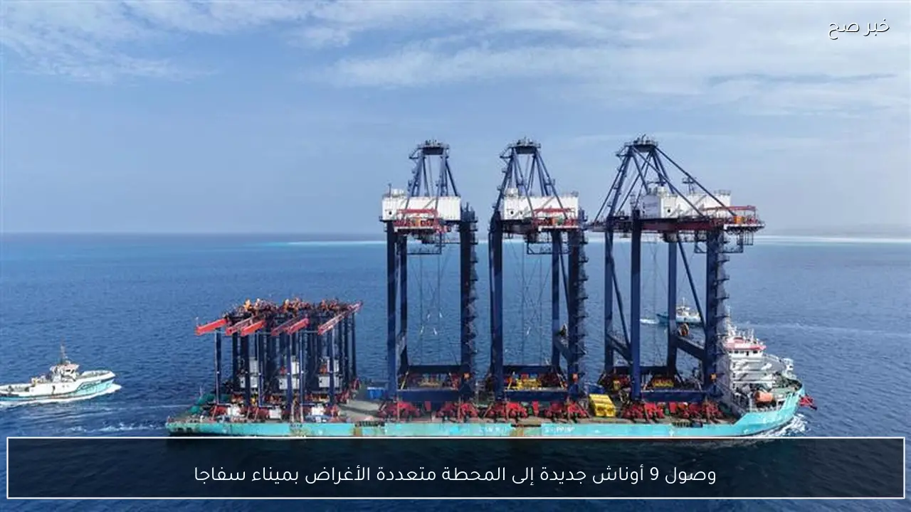 وصول 9 أوناش جديدة إلى المحطة متعددة الأغراض بميناء سفاجا